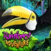 Rainforest Adventure